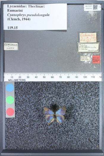 Media type: image;   Entomology 69183